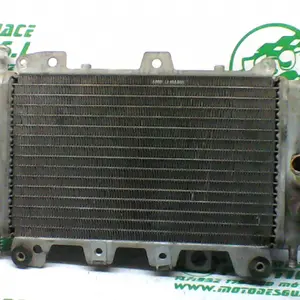 Foto de Radiador Piaggio X9 125 referencia 244-19-24208 foto 7
