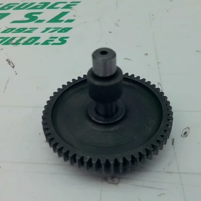 Foto de Piñón del motor de arranque Benelli MACIS referencia 324-22-40035