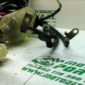 Foto de Instalación electrica Honda S-wing 125 referencia 241-19-22676 foto 2