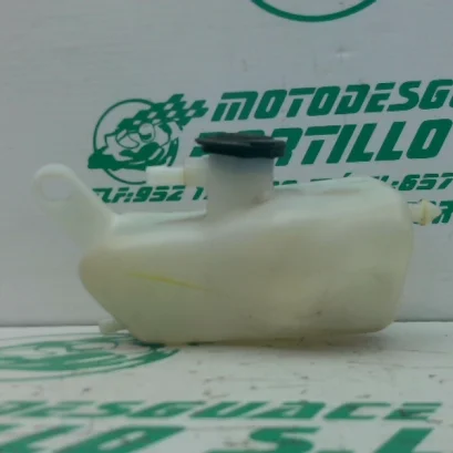 Foto de Bote expansor Yamaha N MAX 125 referencia 394-23-46368
