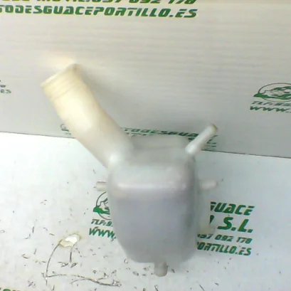 Foto de Bote expansor Sym CITYCOM 300 I referencia 246-19-22922