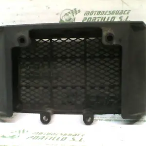 Foto de Protector de radiador Daelim Daystar 125 referencia 43-24-48227 foto 2