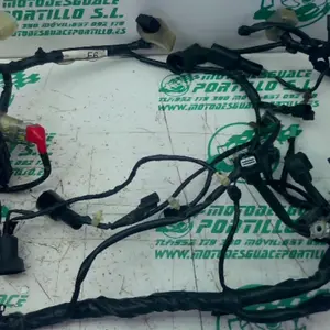 Foto de Instalación electrica Honda FORZA 125 referencia 396-25-49047 foto 2