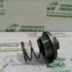 Foto de Tapon vaciado de aceite Kymco Grand dink 125 referencia 166-20-33147 foto 11