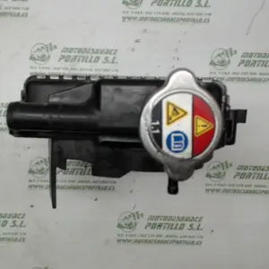 Foto de Radiador Honda Pcx 125 referencia 181-23-46198 foto 2
