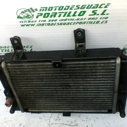 Foto de Radiador Sym CITYCOM 300 I referencia 246-19-22953