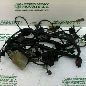 Foto de Instalación electrica Honda Silver wing 600 referencia 122-19-20296 foto 2