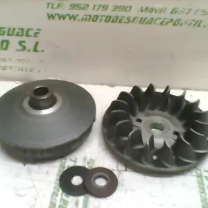 Foto de Variador Derbi RAMBLA 300 referencia 167-22-37669 foto 3