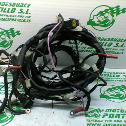 Foto de Instalación electrica Aprilia COMPAY 125 referencia 158-21-29459