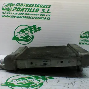 Foto de Radiador Suzuki BURGMAN 125 - 15 referencia 179-20-35800 foto 3