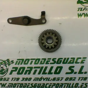 Foto de Piñón del motor de arranque Yamaha Cygnus x 125 referencia 324-23-45432 foto 18