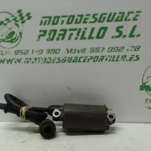 Foto de Bobina Honda Forza 250 referencia 234-18-16131 foto 4