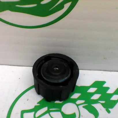 Foto de Tapón bote expansor Vespa GT 200 L referencia 138-22-34432