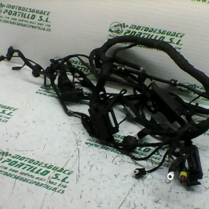 Foto de Instalación electrica BMW F 800 ST referencia 312-19-24446