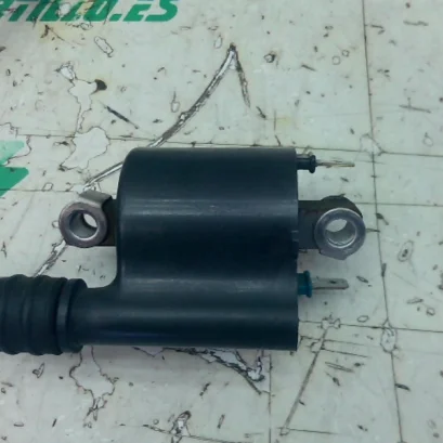 Foto de Bobina Honda FORZA 125 referencia 396-25-49025