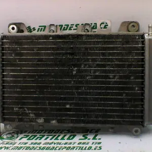 Foto de Radiador Piaggio X9 125 referencia 244-19-24208 foto 3