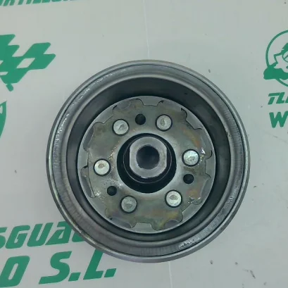 Foto de Plato magnetico Hyosung AQUILA 125 referencia 195-19-41126