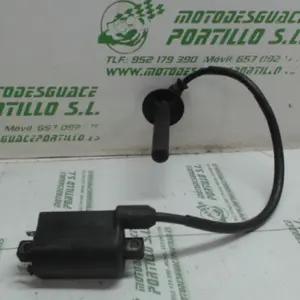 Foto de Bobina Honda VFR 750 referencia 138-16-10286 foto 11