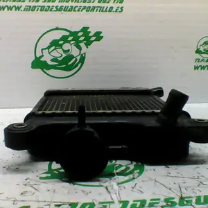 Foto de Radiador Yamaha Xenter 125 referencia 446-22-40690 foto 5