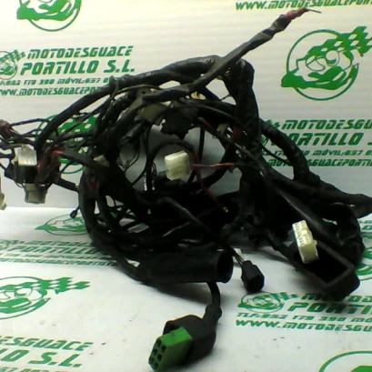 Foto de Instalación electrica Piaggio LIBERTY 125 - 05-08 referencia 45-21-30235