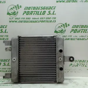 Foto de Radiador Suzuki Burgman 125 08-10 referencia 50-17-7150