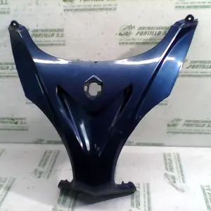 Foto de Frontal Piaggio X9 125 referencia 244-19-24233 foto 14