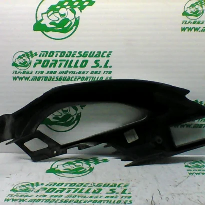 Foto de Protector de basculante Rieju Naked referencia 314-22-38806