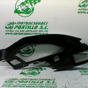 Foto de Protector de basculante Rieju Naked referencia 314-22-38806