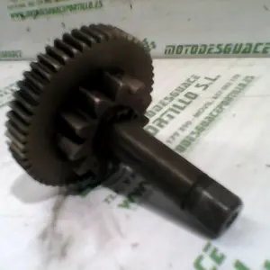 Foto de Piñón del motor de arranque Yamaha Xcity 250 referencia 42-17-4431
