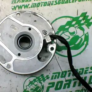 Foto de Encendido Derbi Predator 50 referencia 105-22-40470 foto 4