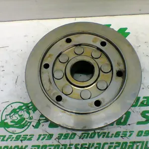 Foto de Plato magnetico Piaggio MP3 250 RL referencia 397-21-40272