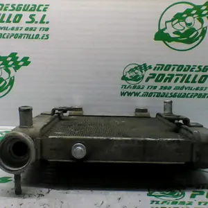 Foto de Radiador Honda Pantheon 125 4T referencia 22-17-36011 foto 2