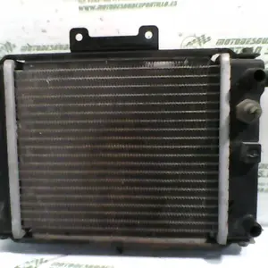 Foto de Radiador Kymco Grand dink 125 referencia 42-20-33999 foto 3