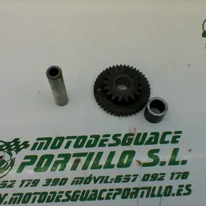 Foto de Piñón del motor de arranque Suzuki Marauder 125 referencia 46-19-17676 foto 5
