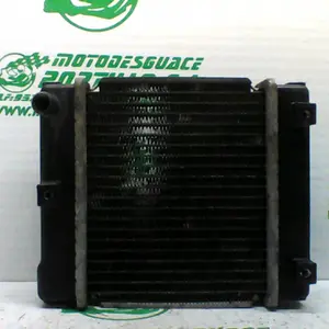 Foto de Radiador Kymco super dink 300 i referencia 367-19-43479 foto 6