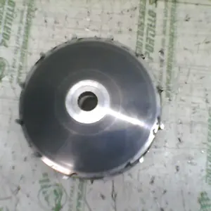 Foto de Variador Daelim Besbi 125 referencia 167-17-12379 foto 5