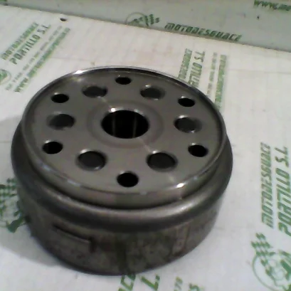 Foto de Plato magnetico Daelim Daystar 125 referencia 139-21-41970