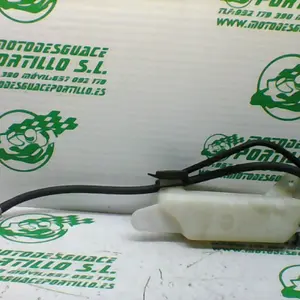 Foto de Bote expansor Sym JOYMAX 300I referencia 305-21-31788 foto 2