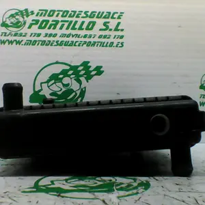 Foto de Radiador Kymco super dink 300 i referencia 367-19-43479 foto 10