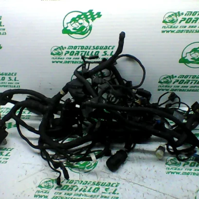 Foto de Instalación electrica BMW K1200R referencia 133-20-38596