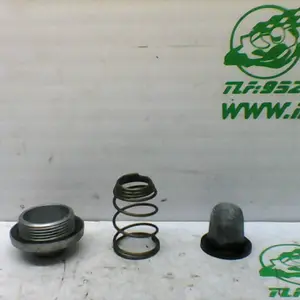 Foto de Tapon vaciado de aceite Kymco Grand dink 125 referencia 166-20-33147 foto 4