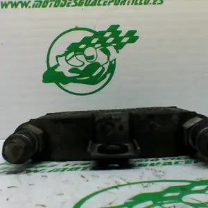Foto de Radiador Daelim Roadwin 125 i referencia 230-19-38091 foto 2