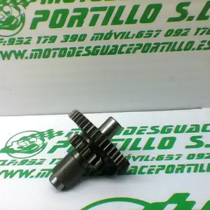 Foto de Piñón del motor de arranque Hyosung AQUILA 125 referencia 195-19-41123 foto 1
