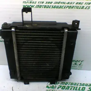 Foto de Radiador Kymco Bet&win 125 referencia 321-19-38833 foto 15