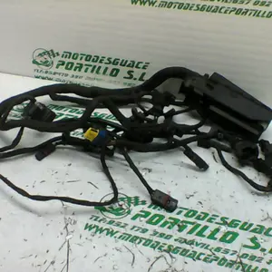 Foto de Instalación electrica del motor BMW F 800 ST referencia 312-19-24445 foto 2