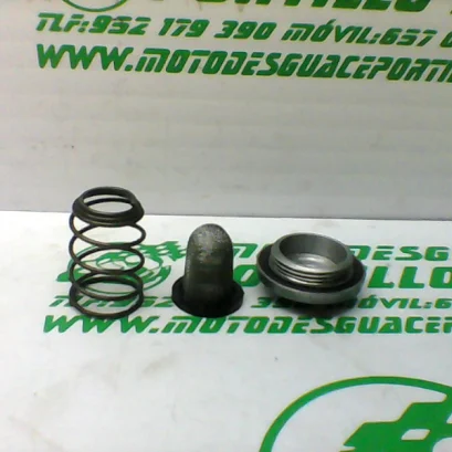 Foto de Tapon vaciado de aceite Honda VISION 110 referencia 110-20-26873
