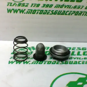 Foto de Tapon vaciado de aceite Honda VISION 110 referencia 110-20-26873