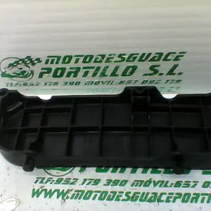 Foto de Protector de radiador Piaggio X9 125 referencia 244-19-24214
