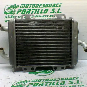 Foto de Radiador Peugeot ELYSTAR 125 referencia 354-20-43044 foto 10