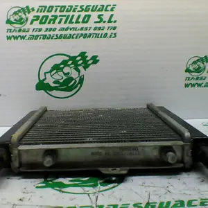 Foto de Radiador Peugeot Satelis 125 referencia 240-19-36136 foto 11